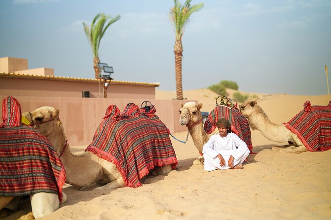 Dubai Evening Desert Safari BBQ Dinner & Transfer to Noble Camp - Is $79.82 good value?