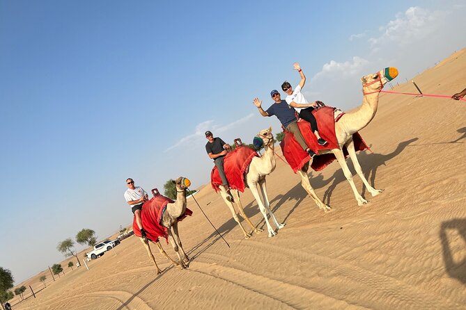 Dubai: Evening Desert Safari, Camel Ride, Shows & BBQ Dinner - Lahbab Dunes: The Main Event
