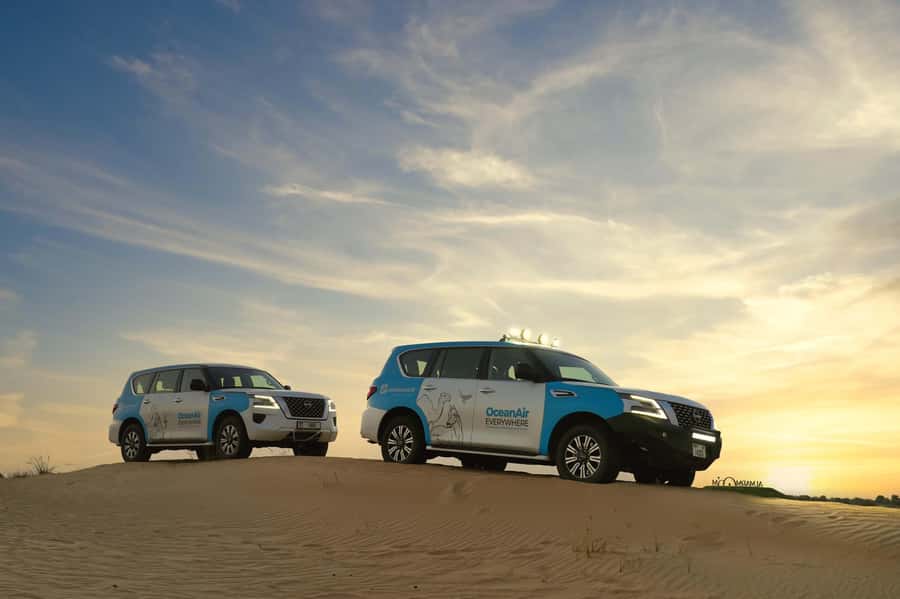 Dubai: Evening Desert Safari with Camel Ride & Stargazing - Falcon, horses, sandboarding, and the active part of the evening