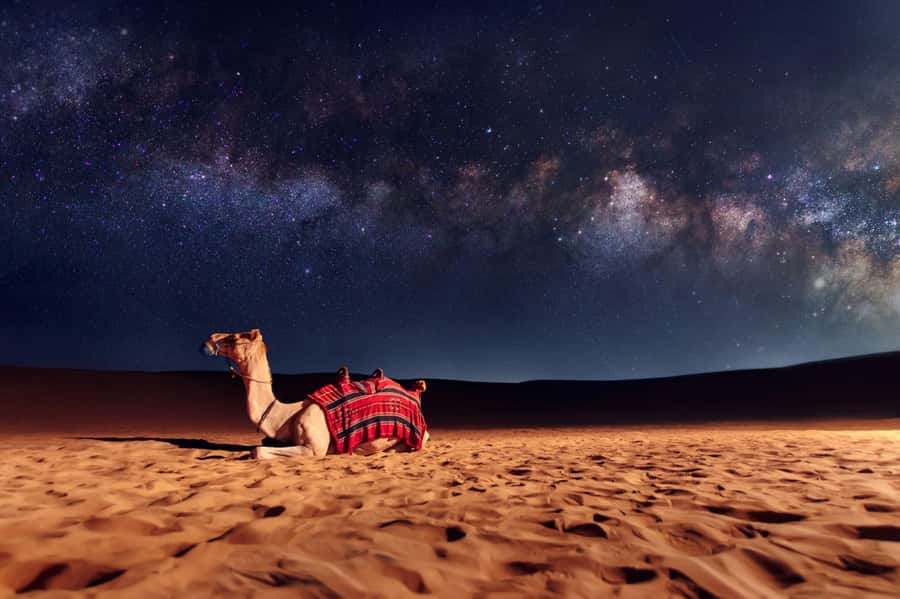 Dubai: Evening Desert Safari with Camel Ride & Stargazing - A short camel ride under lamps