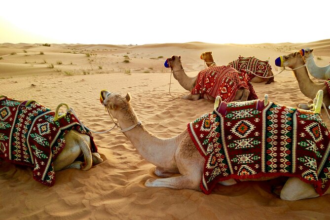 Dubai Evening Desert Safari with RedDune, sandboarding, live show - Tanoura and belly-dancing entertainment