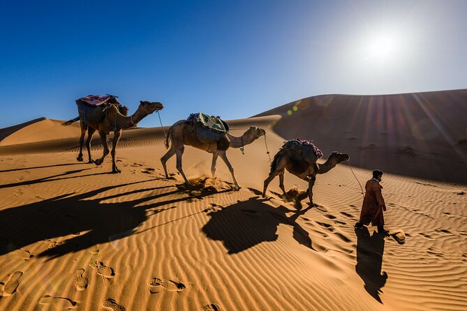 Dubai Evening Desert Safari with RedDune, sandboarding, live show - What seven hours feels like