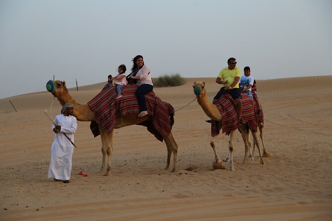 Dubai Evening Desert Safari with Thrilling Dune Buggy Adventure - Who will enjoy this safari most?