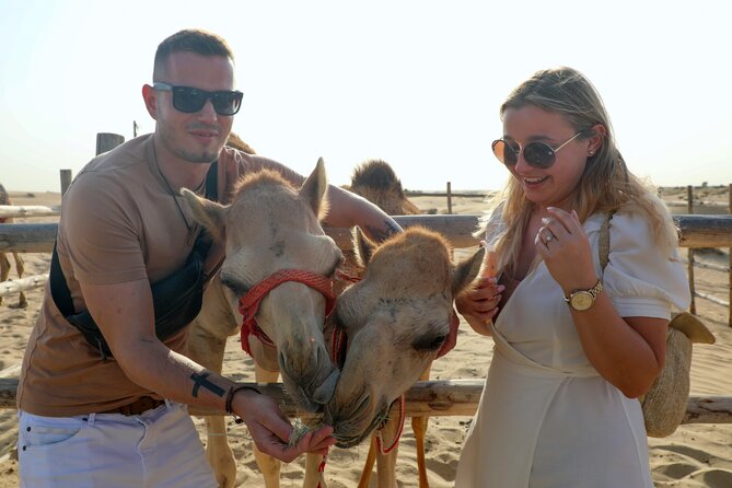 Dubai Evening Heritage Safari by Vintage G Class Al Marmoom Oasis - Why the vintage Mercedes changes the safari