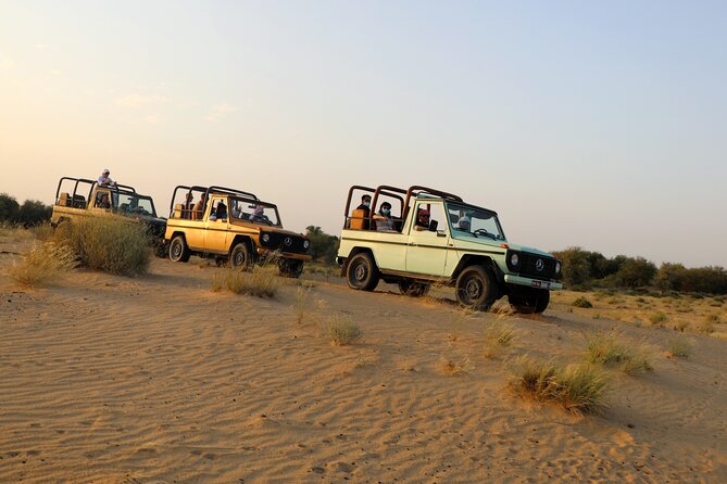 Dubai Evening Heritage Safari by Vintage G Class Al Marmoom Oasis - The camel caravan and the Bedouin village