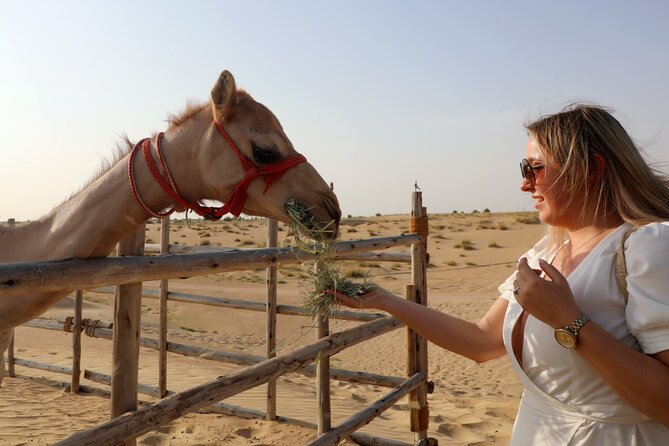 Dubai Evening Heritage Safari by Vintage G Class Al Marmoom Oasis - Bedouin tales around the campfire