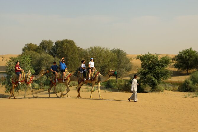 Dubai Evening Heritage Safari by Vintage G Class Al Marmoom Oasis - Turning off the lights for desert stargazing