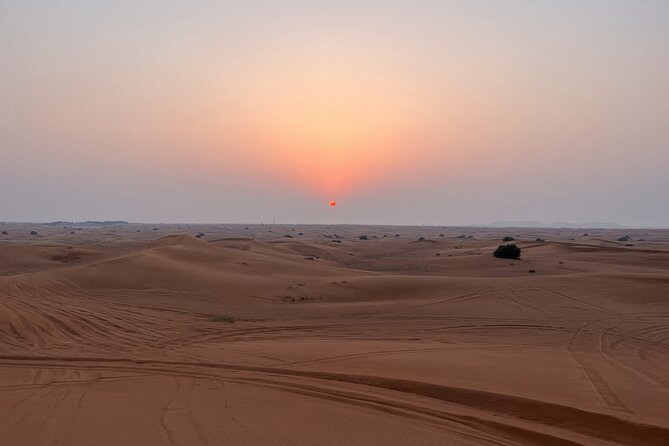 Dubai Evening Red Dune Safari With 30 Mins ATV, BBQ, Live Shows - Belly dance, Tanura, and fire under the night sky