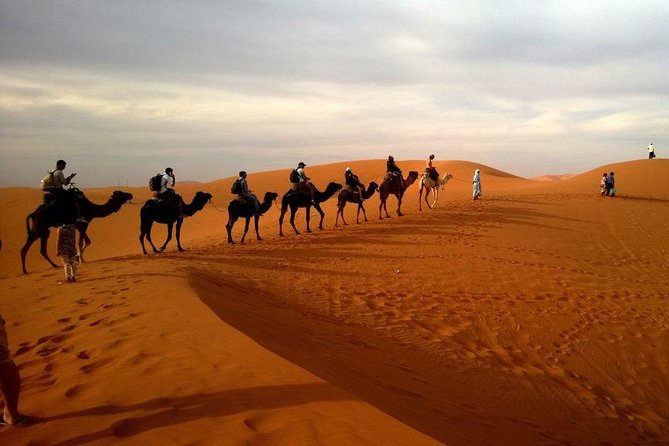 Dubai Evening4x4Desert Safari,BBQ Dinner,4 LiveShows,Camelride - Sunset photos and the falcon stop