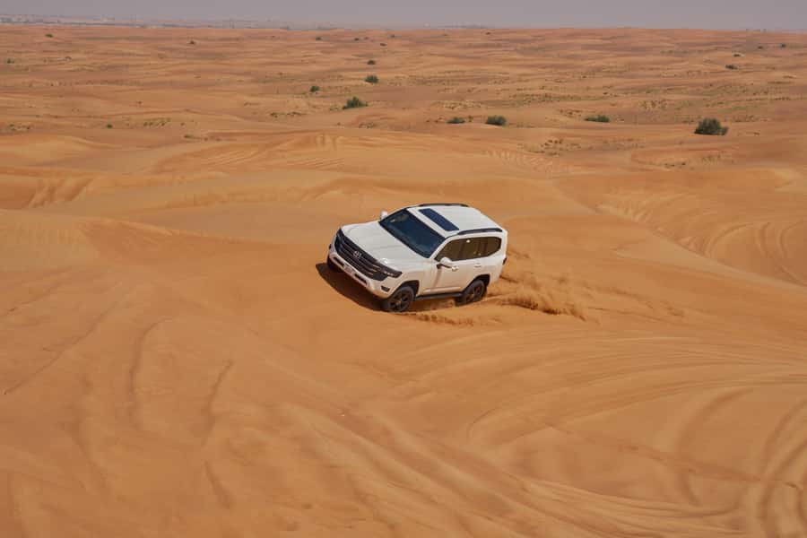 Dubai: Exclusive VIP Desert Safari Dinner with Live Show - Who should book this six-hour safari?