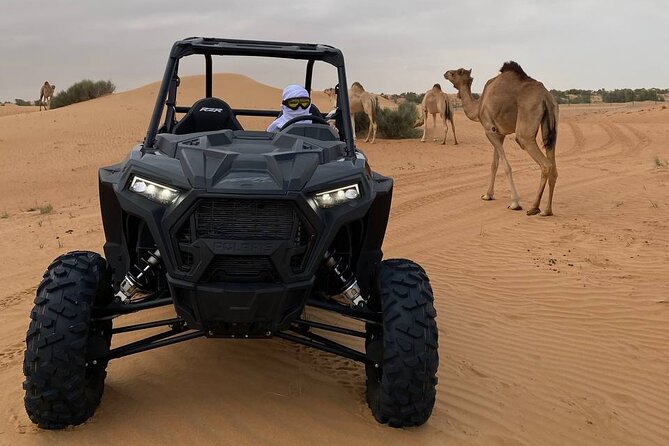 Dubai: Extreme Red Dune Buggy Desert Safari Adventure - What the $124.31 Price Gets You