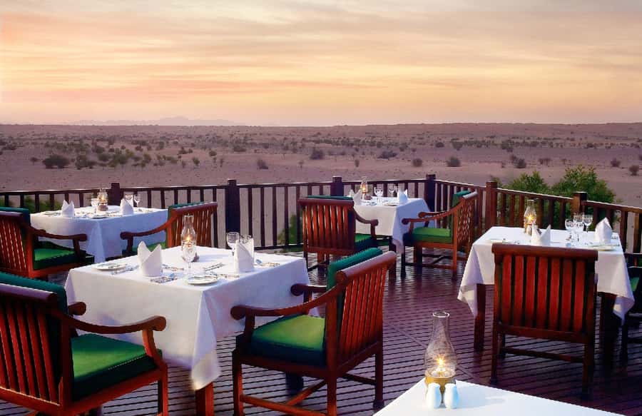 Dubai Falconry Safari - Photos, videos, and the small details that matter