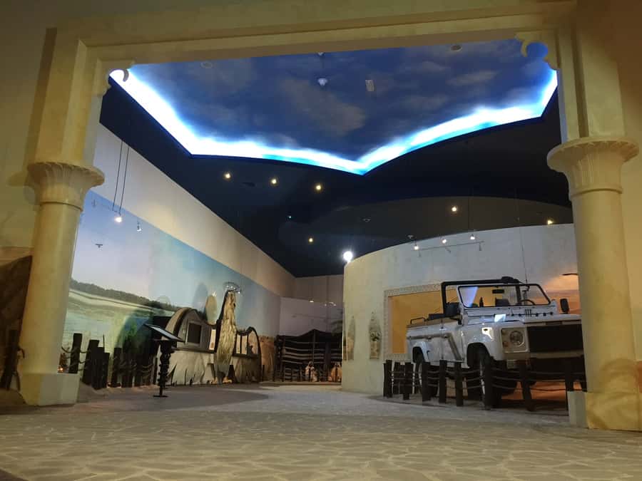 Dubai Falconry Safari - Should you book the Dubai Falconry Safari?