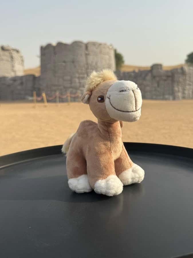 Dubai Fort Lisaili Desert: Quad, Buggy Ride & Free Souvenir - Quad bikes and buggies: read the option carefully