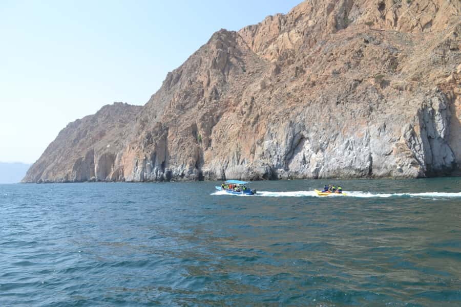 Dubai: Full-Day Sea Safari to Musandam - Key points to know before you book