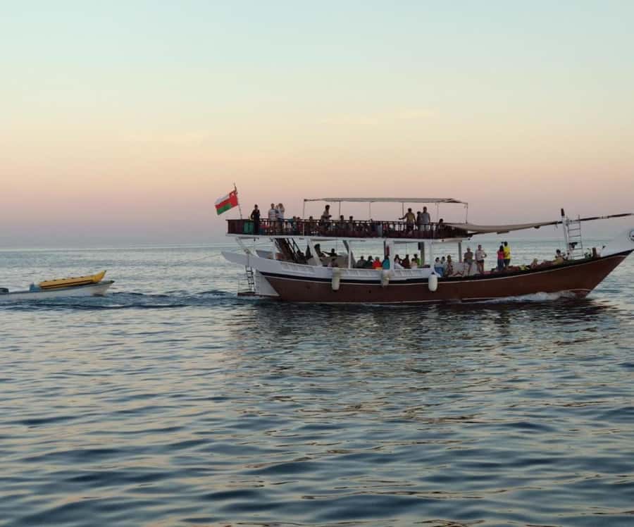 Dubai: Full-Day Sea Safari to Musandam - Buffet lunch with sea views