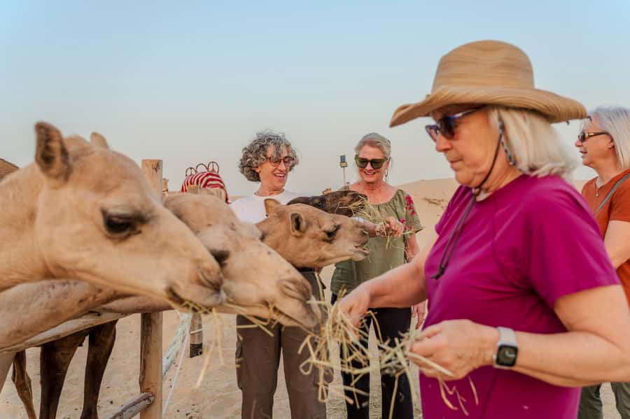 Dubai: Half-Day Camel Trekking with Al Marmoom Breakfast - The breakfast is more than a snack