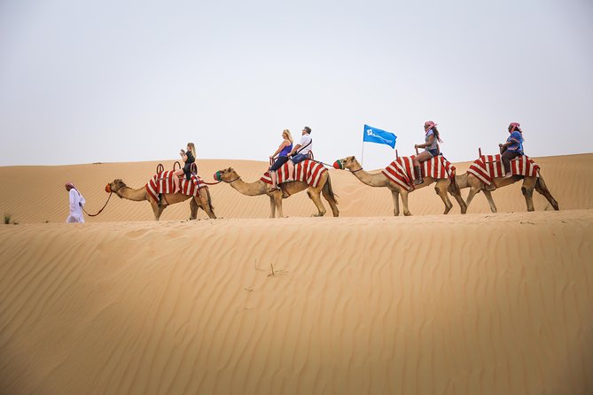 Dubai: Half-Day Desert Safari, Camels, Quad Bike & Refreshments - Camel riding and the falcon experience