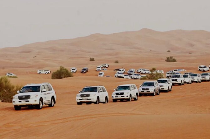 Dubai: Half-Day Desert Safari ,Camels & Sunset - Key Points Before You Book