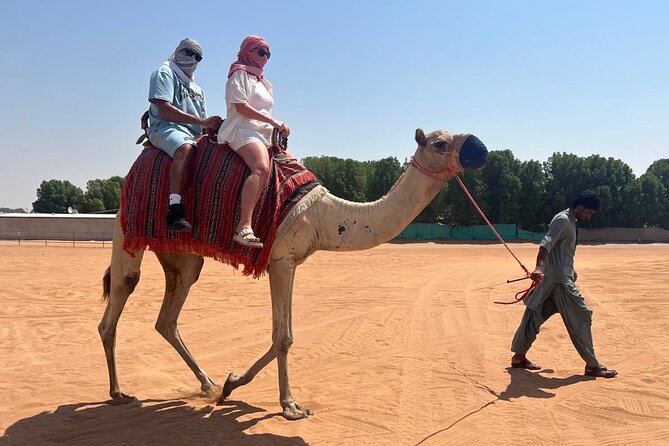 Dubai: Half-Day Desert Safari ,Camels & Sunset - A Short Camel Ride with an Old Desert Rhythm