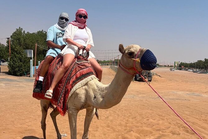 Dubai: Half-Day Desert Safari ,Camels & Sunset - Sunset Among the Red Dunes