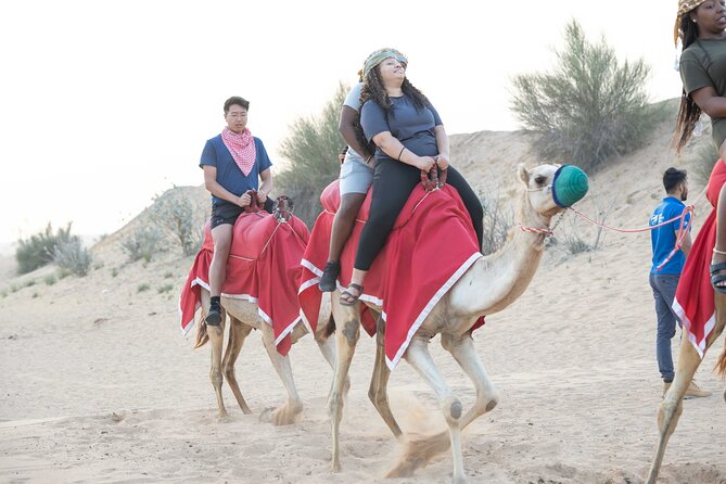 Dubai Half-day Red Dunes bashing with Sandboarding, Camel &Falcon - Why the morning timing works so well