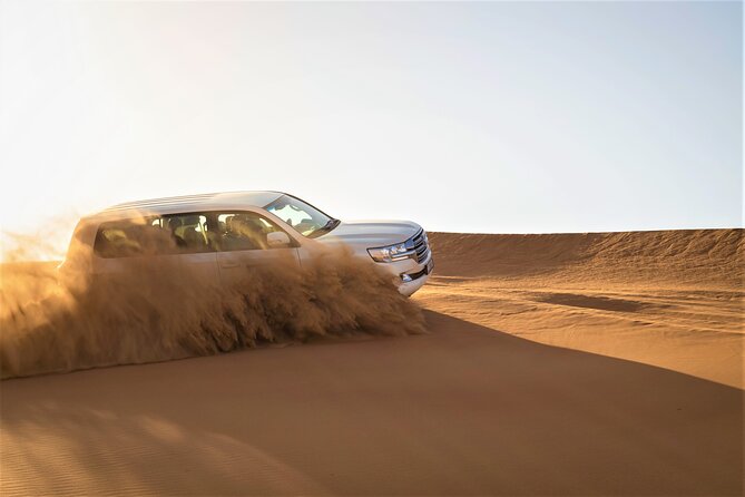 Dubai Half-day Red Dunes bashing with Sandboarding, Camel &Falcon - Who will enjoy this safari most
