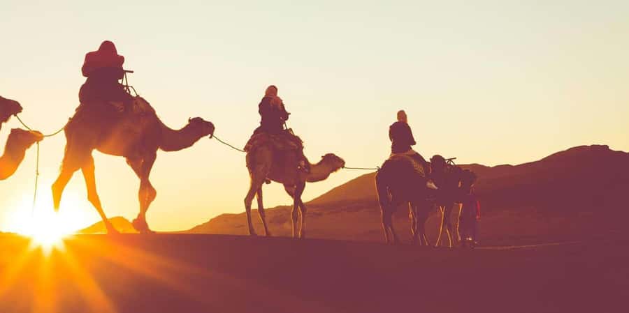 Dubai: Hot Air Balloon with Camel, ATV, & Horse Ride Options - The early start earns its keep