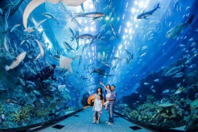 iVenture Card Dubai Flexi Attractions Pass