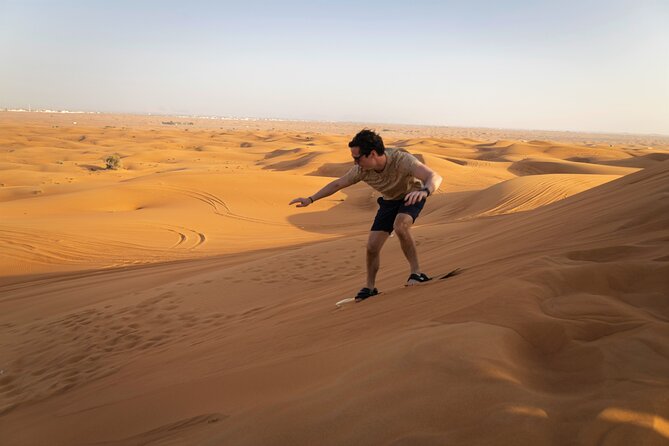 Dubai Long Self-Drive Quadbike with Camel and Falcon - Why this desert morning works well
