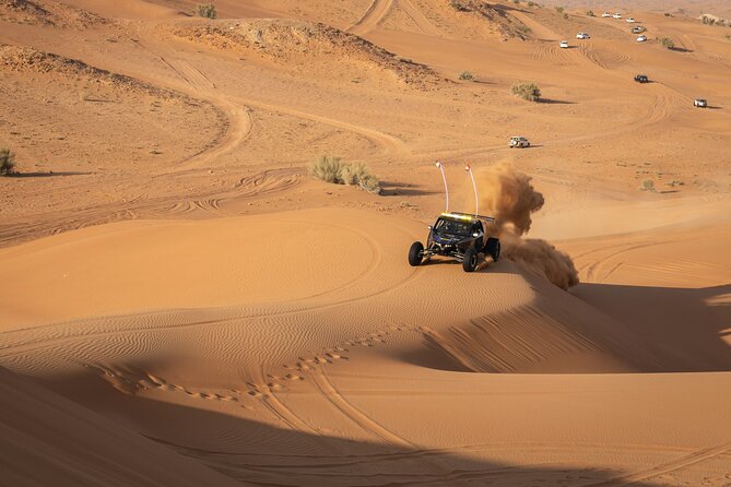 Dubai Long Self-Drive Quadbike with Camel and Falcon - A short camel ride and falcon photo