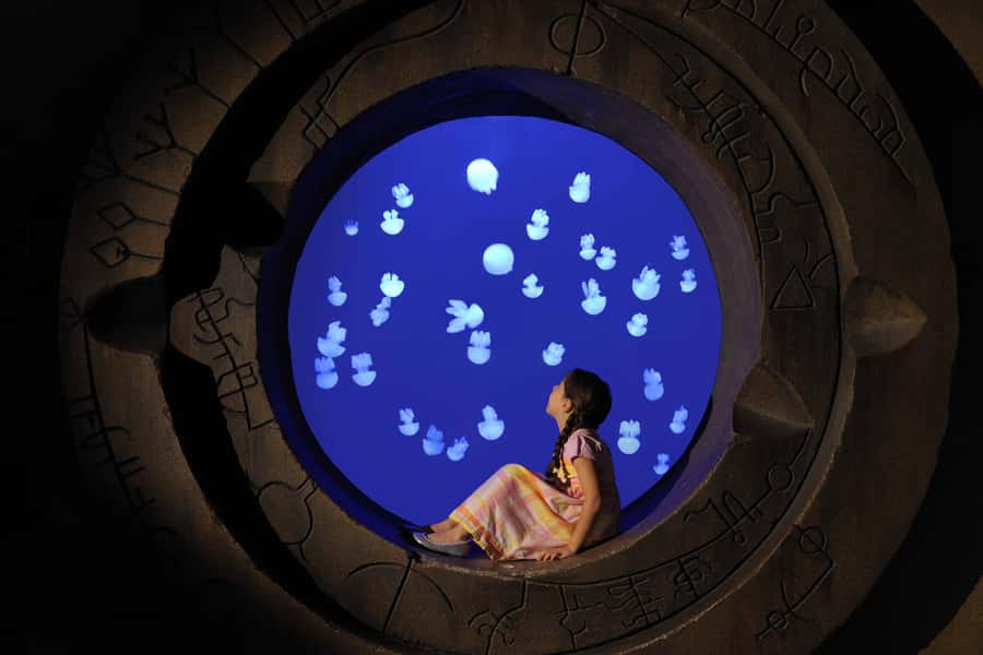 Dubai: Lost Chambers Aquarium Entry Ticket - The Ambassador Lagoon: the visit’s big payoff