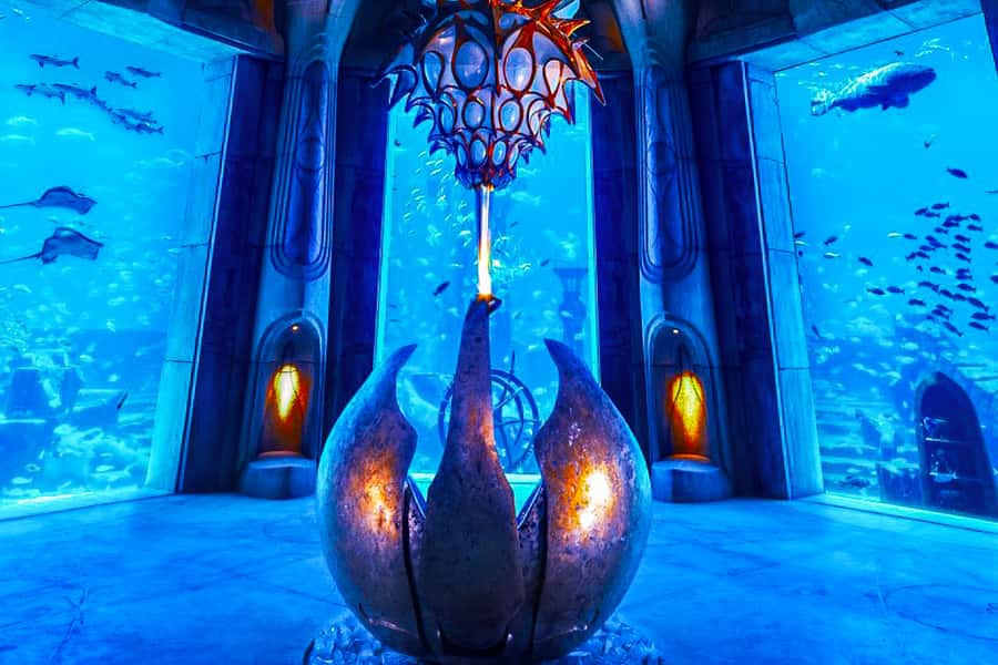 Dubai: Lost Chambers Aquarium Entry Ticket - Daily talks, feeding displays, and the Aquatheatre