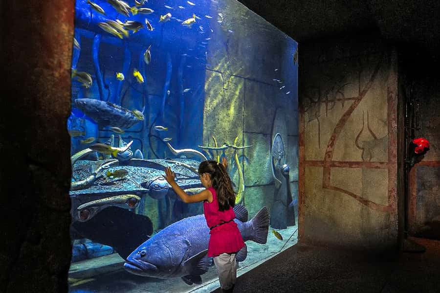 Dubai: Lost Chambers Aquarium Entry Ticket - Best times and practical planning