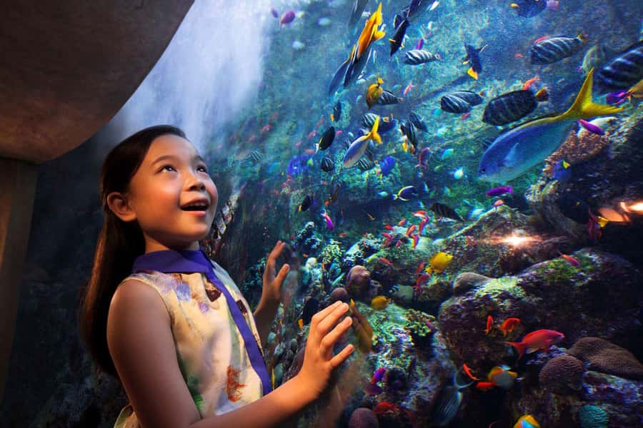 Dubai: Lost Chambers Aquarium Entry Ticket - The 14 chambers and Atlantis theme