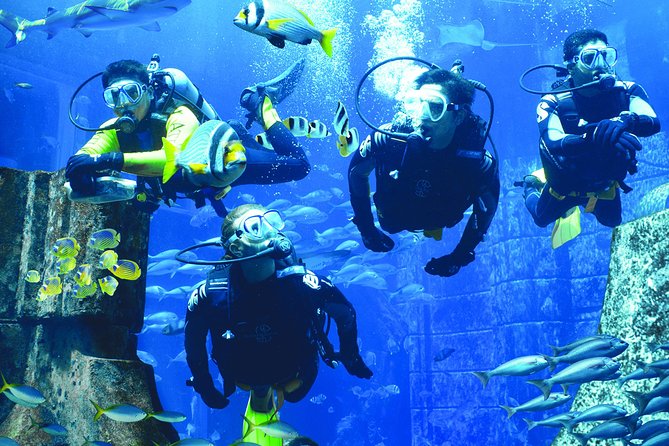 Dubai Lost Chambers Dive Discovery - The briefing, medical form, and PADI basics