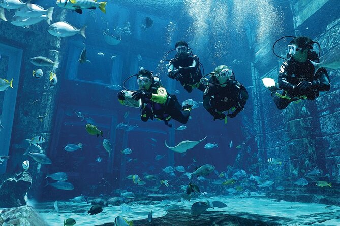 Dubai Lost Chambers Dive Explorer (Certification Required) - Arriving at Atlantis The Palm for a 9:00 am start