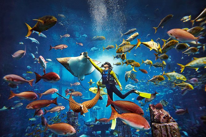 Dubai Lost Chambers Dive Explorer (Certification Required) - Getting ready with the supplied scuba equipment
