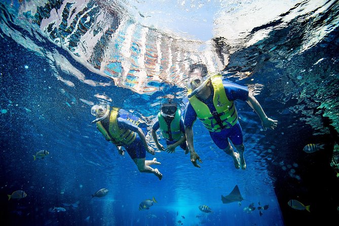 Dubai Lost Chambers Ultimate Snorkel Experience - Arriving at Atlantis The Palm for the snorkel