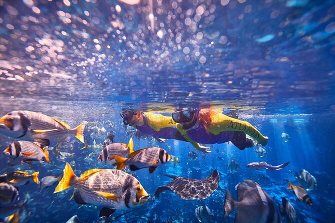 Dubai Lost Chambers Ultimate Snorkel Experience - The briefing makes the water time easier