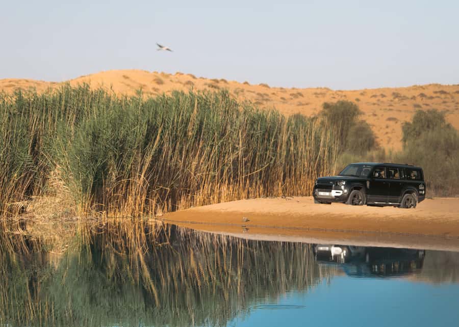 Dubai: Luxury Safari with Michelin-Curated 5-Course Dinner - Key things to know before booking