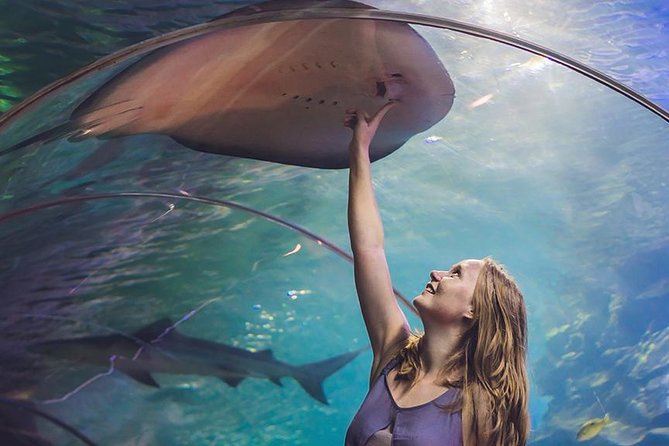 Dubai Mall Aquarium & Underwater Zoo with Penguin Cove Tickets - The Dubai Mall aquarium is more than a quick fish tank
