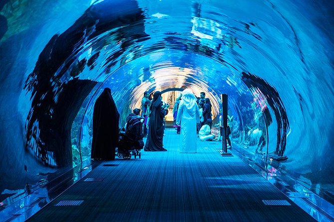 Dubai Mall Aquarium & Underwater Zoo with Penguin Cove Tickets - How long should you allow?