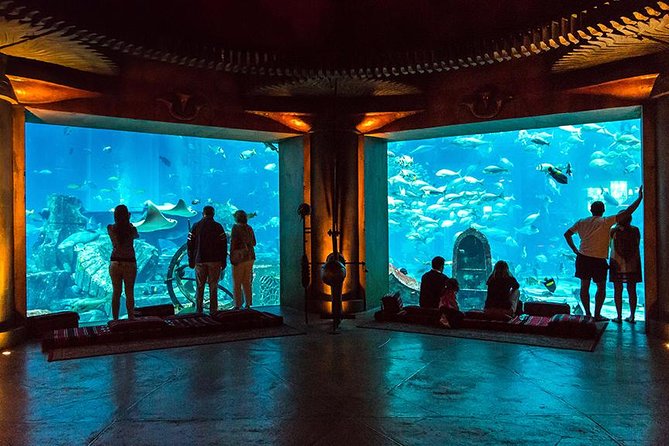 Dubai Mall Aquarium & Underwater Zoo with Penguin Cove Tickets - What the strongest praise gets right