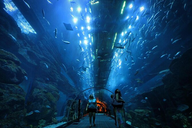 Dubai Mall Aquarium with Penguin Cove + Skyview Ticket - Key points before you book