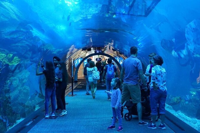 Dubai Mall Aquarium with Penguin Cove + Skyview Ticket - Inside Dubai Mall Aquarium and Underwater Zoo