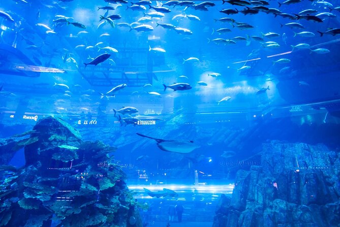 Dubai Mall Aquarium with Penguin Cove + Skyview Ticket - Sky Views Observatory at 219.5 metres