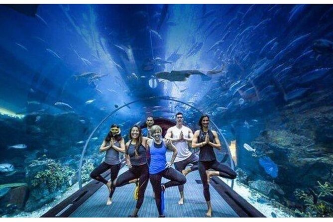 Dubai Mall Aquarium with Penguin Cove + Skyview Ticket - Penguin Cove and the limits of the ticket