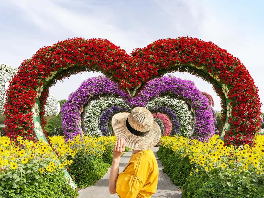 Dubai: Miracle Garden Entry Ticket with Hotel Transfer - Getting from your hotel to Miracle Garden
