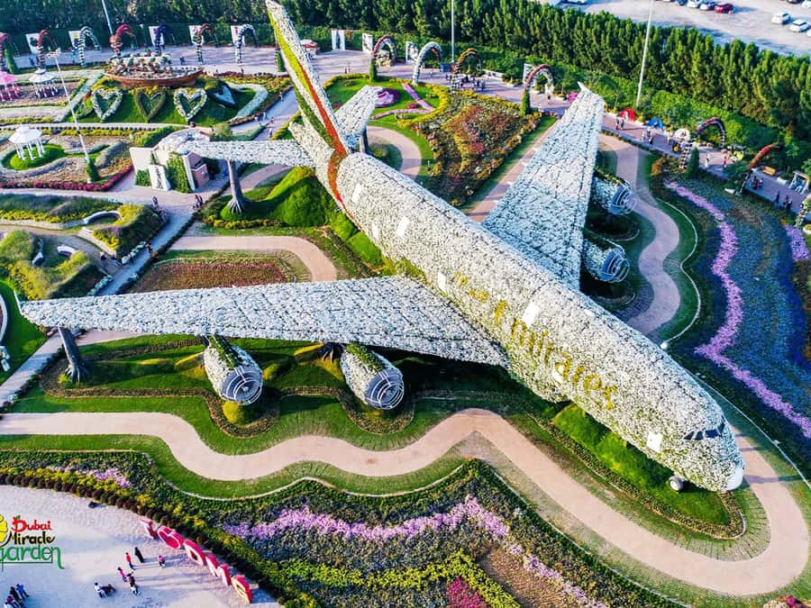 Dubai: Miracle Garden Entry Ticket with Hotel Transfer - The Airbus A380 and the floating lady